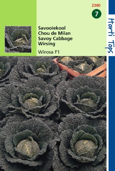Savooiekool Wirosa F1 (Brassica) 100 zaden